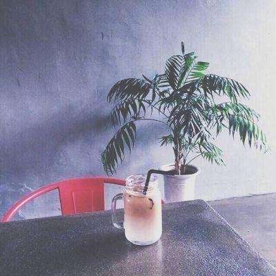 国内最大竞彩跟单APP