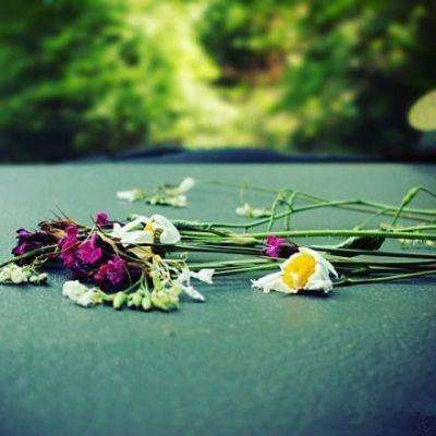 28网站下载手机版