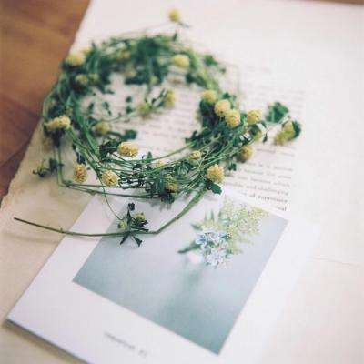 星空官方网站入口截图