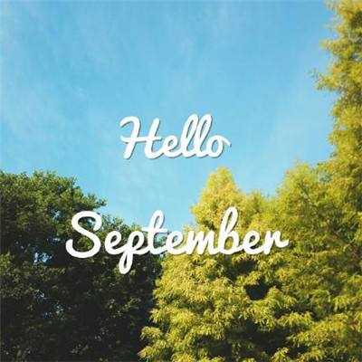 米乐网手机app下载截图