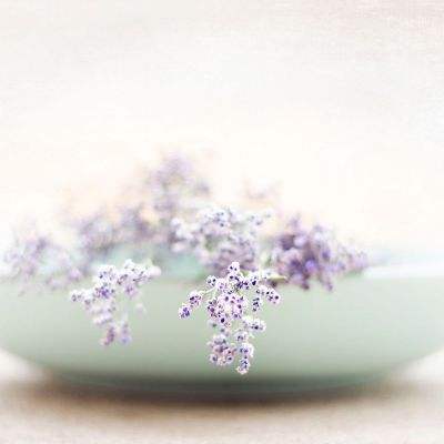 大发国际下载手机版截图