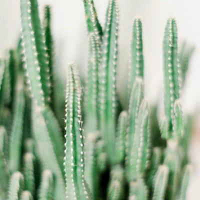 赛博体育手机app下载